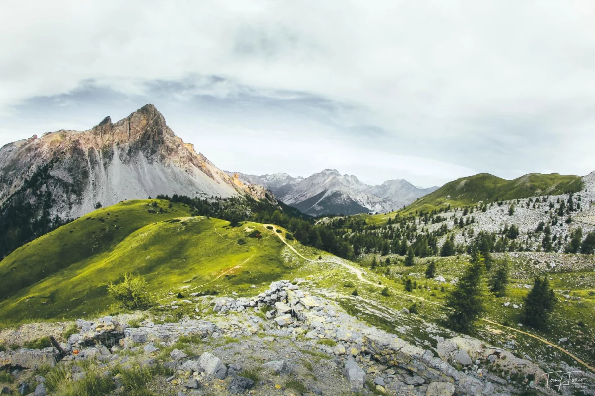 budować dom profesjonalnie?