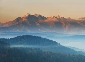 Oto 8 Powodów Dla Których Powinieneś Pomyśleć O Tym Jak wyposażyć mieszkanie