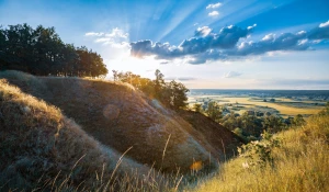 DIY: Jak zrobić stylowe, trwałe meble ogrodowe z palet i drewna – projekty, lista materiałów, porady wykończeniowe i konserwacja