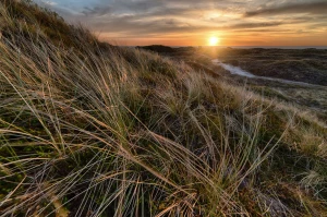 BDO Słowenia: Jak zarejestrować firmę, obowiązki raportowe i kary dla polskich eksporterów odpadów i opakowań