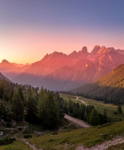 Wszystko na event do wypożyczenia
